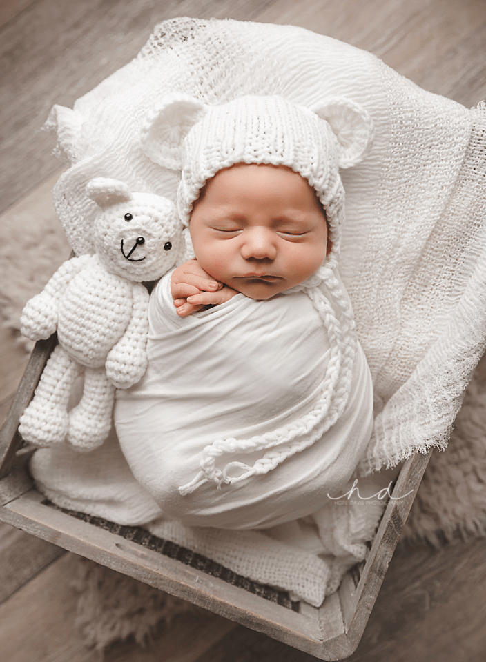 baby bear bonnet mississippi newborn photo hope davis photography