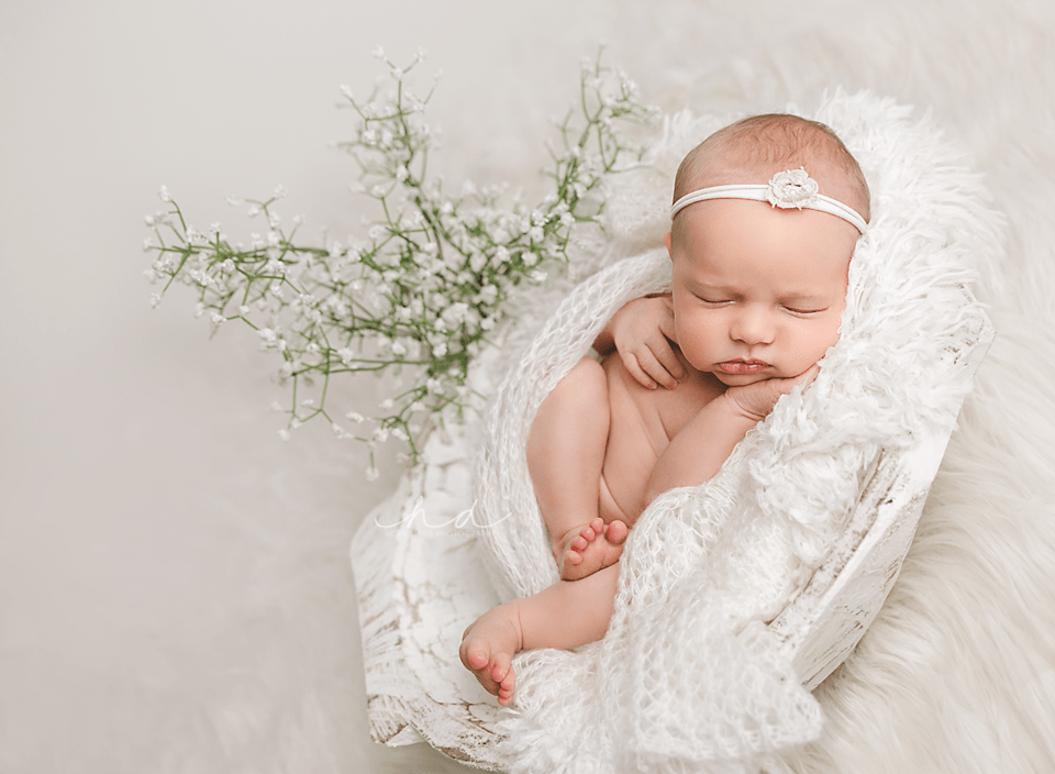 hope davis photography