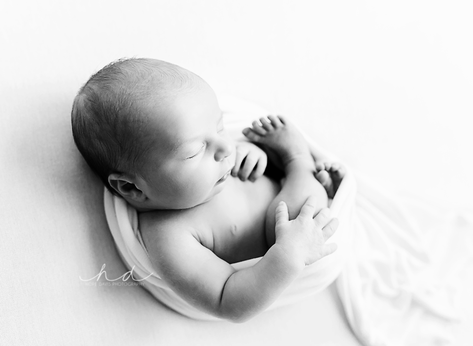 black and white newborn photography hope davis