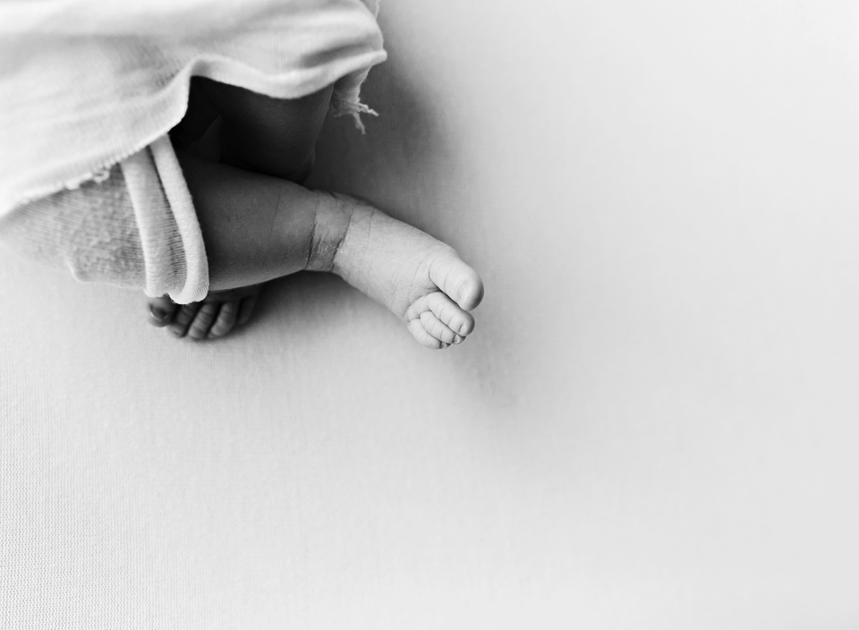 newborn photography meridian mississippi