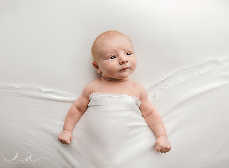 top 20 newborn most allert