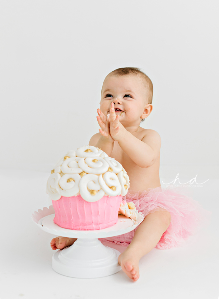 meridian mississippi cake smash