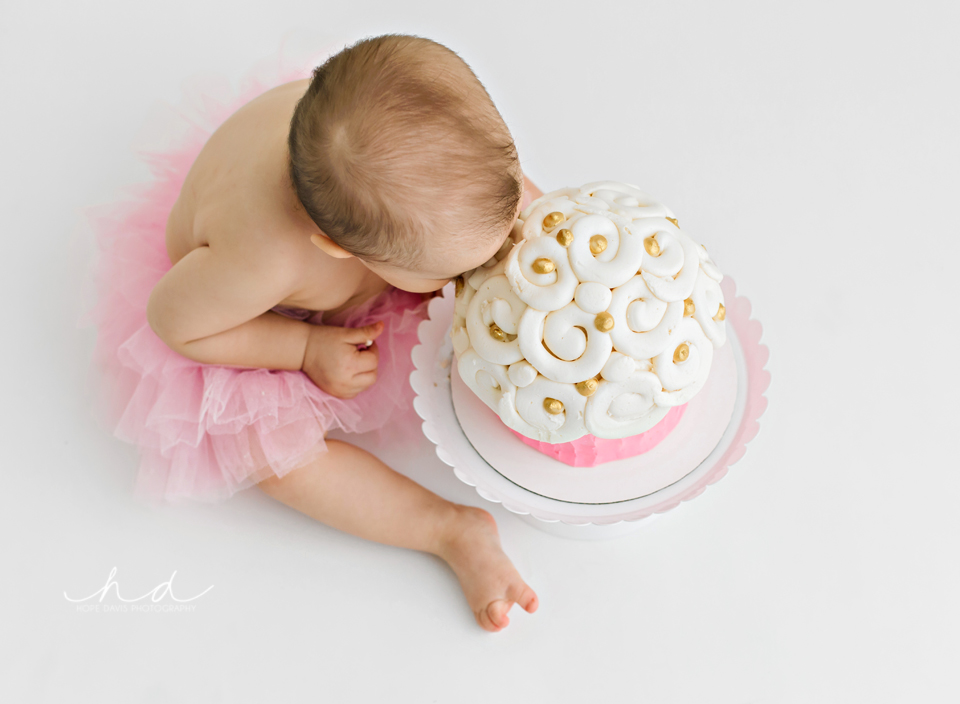 pink tutu cake smash photo session mississippi