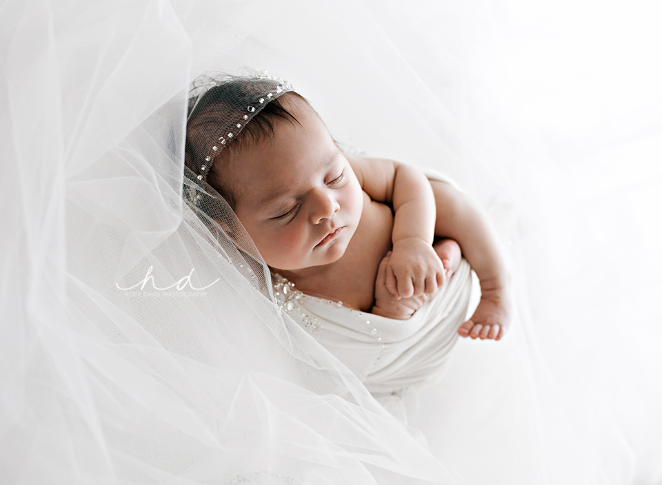 newborn and wedding veil photo