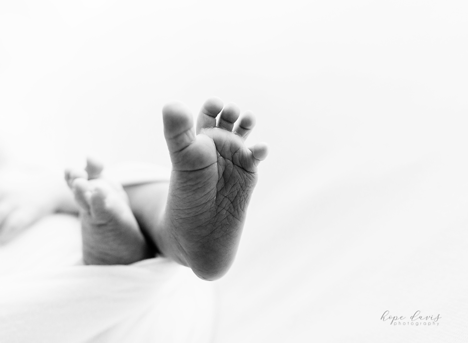 central mississippi newborn photography black and white macro picture of baby toes hope davis photography
