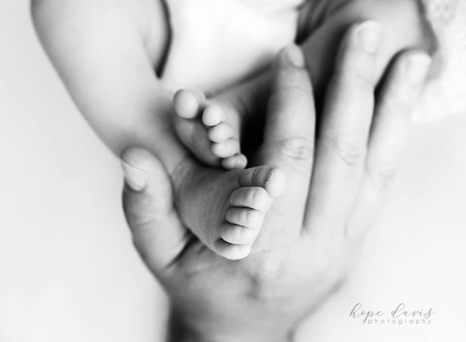 jackson ms newborn photographer baby feet in dads hands macro