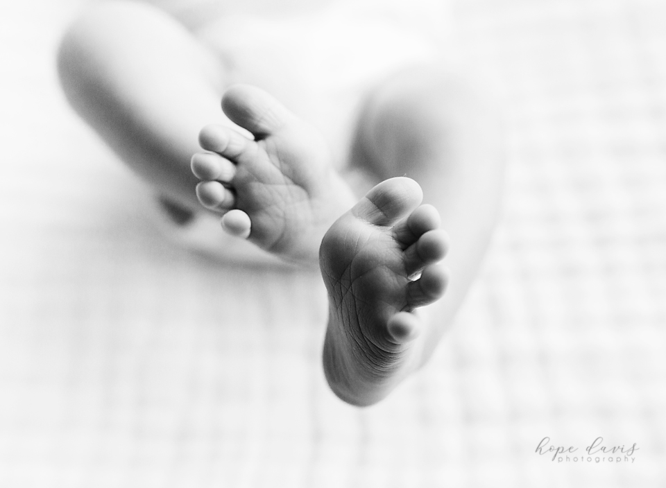 newborn photographer baby feet meridian mississippi hope davis photography